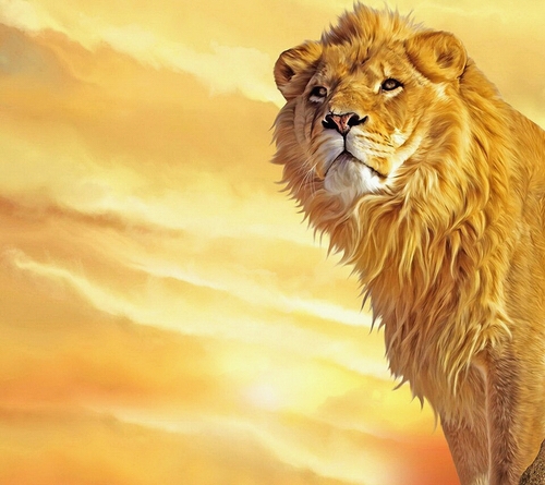 たかゆ@Next.少し落ち着いて🇭🇰