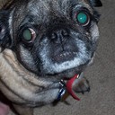 Joseph Brom - @jbrom3 - Twitter