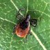 Armed Forces Pest Management Board (@afpmb) Twitter profile photo Armed Forces Pest Management Board (@afpmb) Twitter profile photo