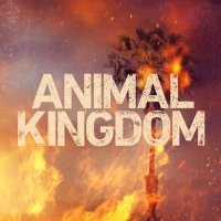 Animal Kingdom(@AnimalKingdom) 's Twitter Profileg