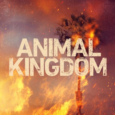 Animal Kingdom (@AnimalKingdom) / Twitter Animal Kingdom (@AnimalKingdom) / Twitter