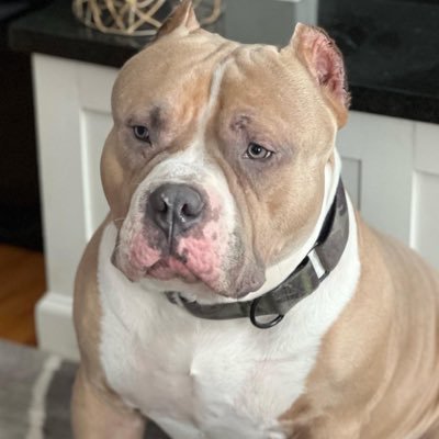 JDUBFFF's profile picture. 