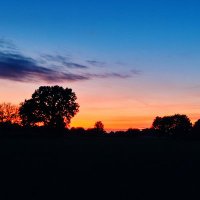 Profundum 🐦📯🐦 (@profundum3) 's Twitter Profile