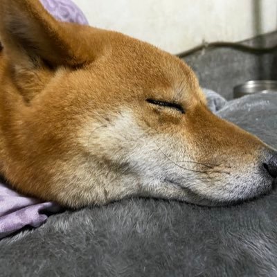 asd09778676's profile picture. 