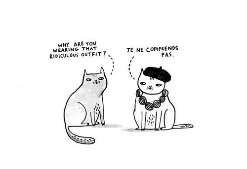 mingjimhs's profile picture. 康康这里有多精彩