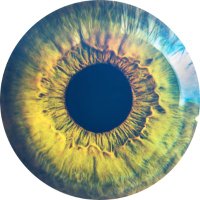 Will/Lum (@williamluke41) 's Twitter Profile Photo