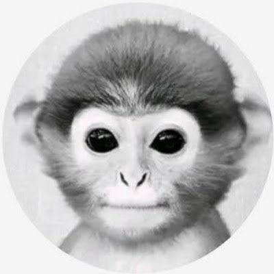 NickNavidad's profile picture. 