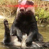 GreenLeapForward.wtf (@greenleapfwd) 's Twitter Profile Photo GreenLeapForward.wtf (@greenleapfwd) 's Twitter Profile Photo