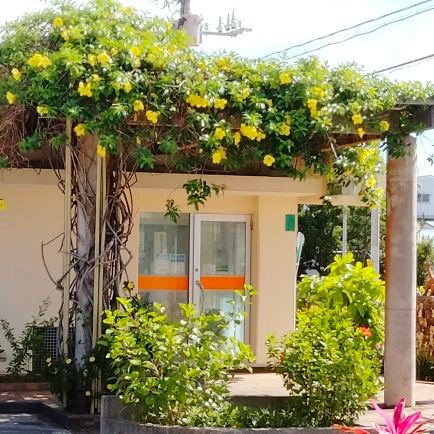 Ran_Ogami's profile picture. 毒親育ち/絶縁済/思い出したことを成仏させるべく呟きます