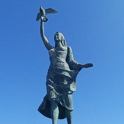 Toy_Surfing's profile picture. 備忘録