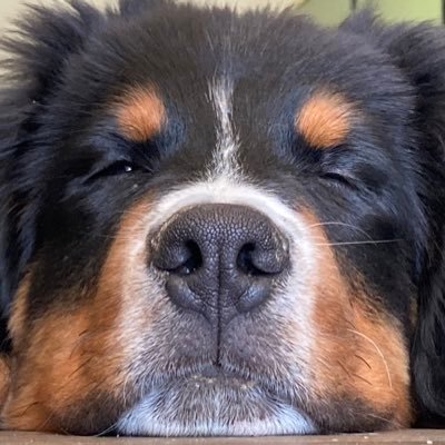 ATNFT9's profile picture. NFT  #SOL #ETH