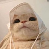 Mира (@mirablessu) 's Twitter Profile