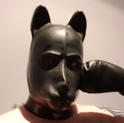 Just a latex pup finding his place in this world