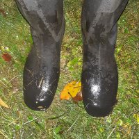 Waders🇺🇦🇺🇦🇺🇦 (@waderskummik) 's Twitter Profile