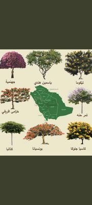 BDRM03273738's profile picture. الطبيعة