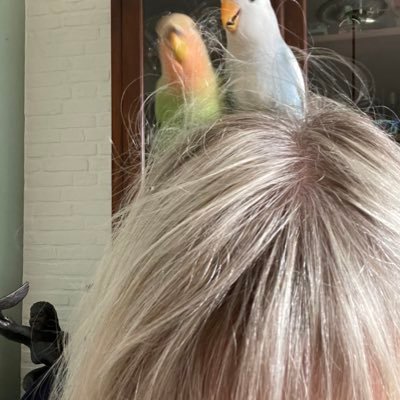 marja_smeets's profile picture. 