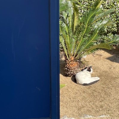 Yohe_p's profile picture. 