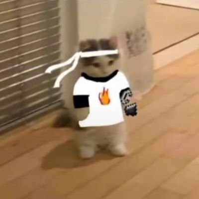 Fichynini's profile picture. hola siganme en twich como Fichynini