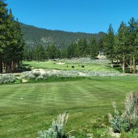Jody G Farber (@sincityturftec) 's Twitter Profile Photo Jody G Farber (@sincityturftec) 's Twitter Profile Photo