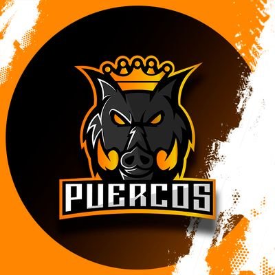 Team Puercos Profile