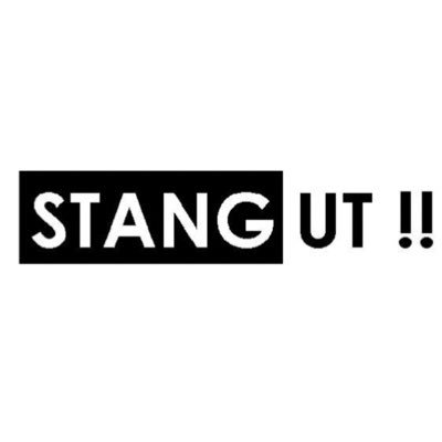 Uavhengig Vål’enga-fanzine på print, og på podcast som «Stang ut - på overtid»