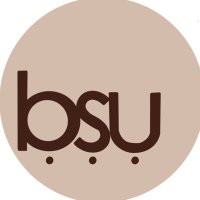 Black Student Union (@rockhillbsu) 's Twitter Profile
