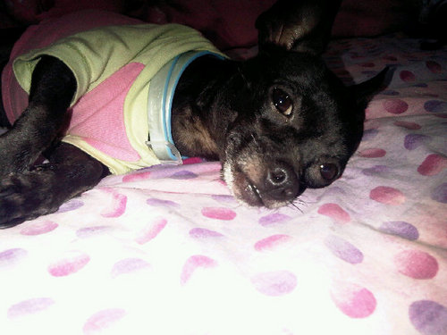 mapi86_13's profile picture. 