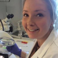 Ingvild E. Bjerke (@ingvildeb) 's Twitter Profile