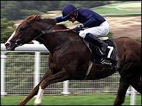 grade1racinguk's profile picture. Grade 1 racing expert.