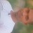 Joshua π²'s Twitter (X) avatar