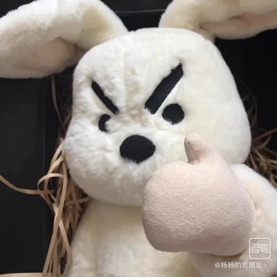 yuan94666's profile picture. 我还在努力