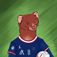 THE WEASEL (@cptjeromnft) 's Twitter Profile Photo THE WEASEL (@cptjeromnft) 's Twitter Profile Photo