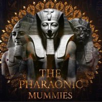 alain🔺🔺🔺👁🌍✨ (@pharaon_alain) 's Twitter Profile