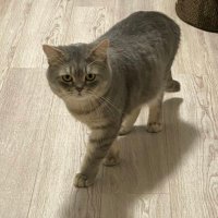 raffa_leo (@raffaello_leo) Twitter profile photo