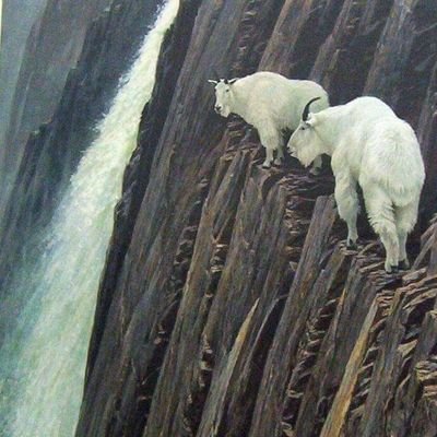 Alex96274812's profile picture. El amor