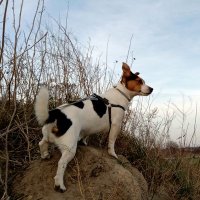 Piotr W (@pw2709) 's Twitter Profile