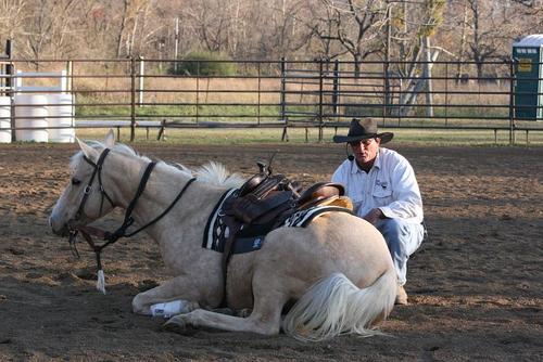 We train using the Best of the Best Methods in Horsemanship Foundation.