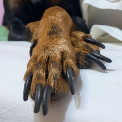 terebarrero's profile picture. Me he vuelto muy simple, si duele me voy.