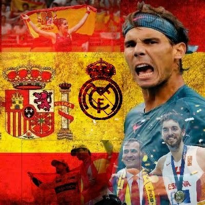 blackbirdESP's profile picture. Si vis pacem, para bellum// Español y asturiano.💚