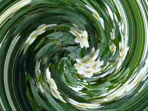 melladeluxe's profile picture. Durch und durch Buchfrau. Von der Pike auf gelernt als Buchhändlerin, anschl. Einkäuferin im BS, Vertriebsleitung im Buchverlag.