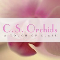 CS Orchids(@CSorchids) 's Twitter Profile Photo