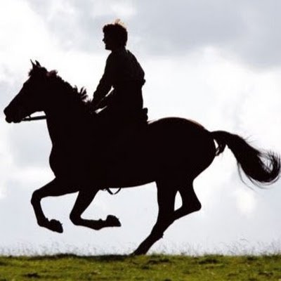 Rich_quantum's profile picture. 