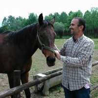 Hamit Ayyıldız (@hamitayyldz8) 's Twitter Profile