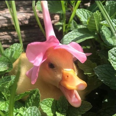 liip210's profile picture. 