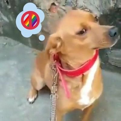 Precisei criar um privado em nome da minha autopreservação, cansada de viver intensamente