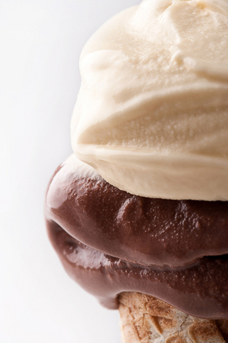 Gelatorino's profile picture. https://t.co/CYJ5UZGk0k