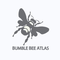 Bumble Bee Atlas (@bumblebeeatlas) 's Twitter Profile