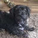 Julia Pearson - @JuliaPearson75 - Twitter