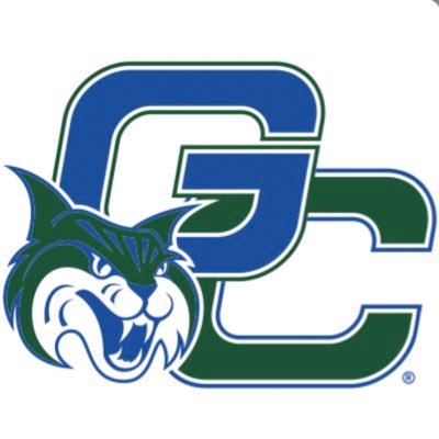 Georgia College D-2 Club Baseball (re-est. 2021)