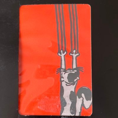 annnyanya_noir's profile picture. 2019年病気をキッカケに専業主婦に。でも時々お仕事🎂保護猫のあんとノアールとの暮らし🐱家中の溢れた物を断捨離中！無言フォローお許しください。 #多発性骨髄腫 #保護猫 #あんとノアール